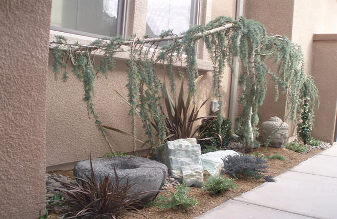 custom pools and spas by greencare.net